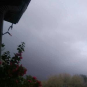 Meet your Posher, Luz